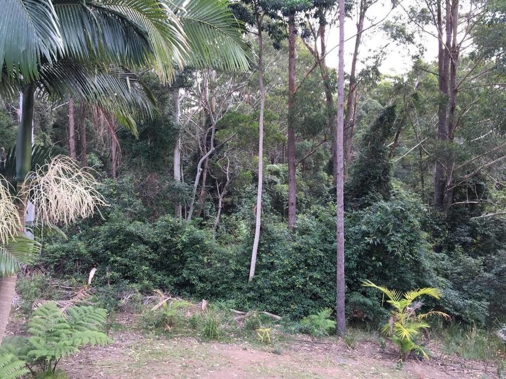 Mapleton Cabins & Caravan Park Exterior photo